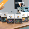 Noetic Soul Origins Grounds Bundle - Enjoy All 6 and Save!