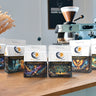 Noetic Soul Origins Whole Beans Bundle - Enjoy All 6 and Save!